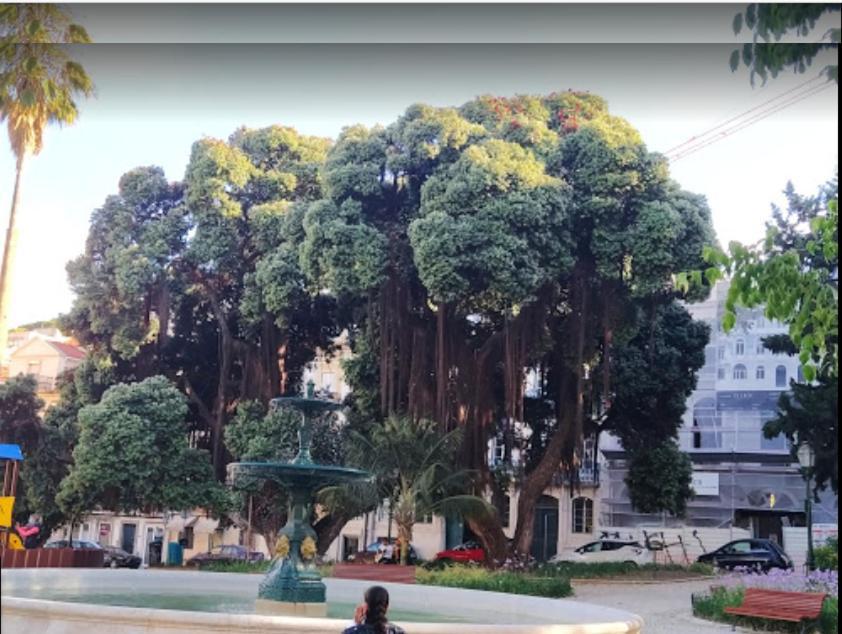 Apartmán Alegramente Lisboa Exteriér fotografie